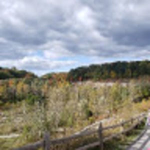 Meet your Posher, Wing